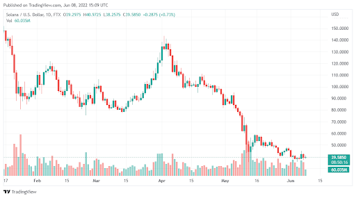 寶山區金盛公寓物業（金棕櫚公寓物業）