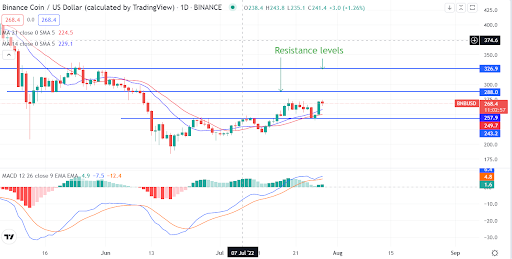 No se pierda BNB ya que el viaje a más de $ 300 sigue en curso