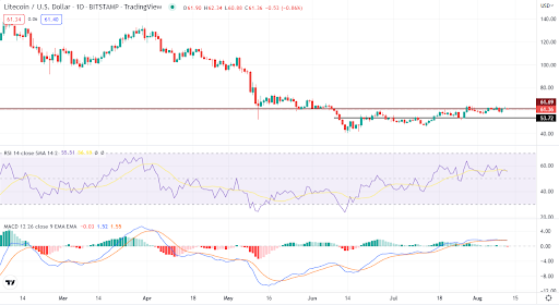 Should you buy LTC as it consolidates at key resistance?