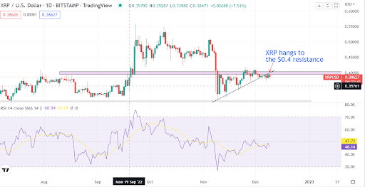 El experto en criptomonedas cree que Ripple (XRP/USD) perderá contra la SEC