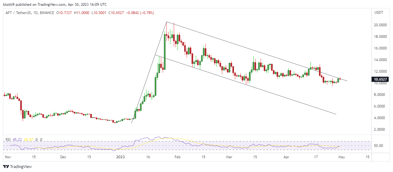 寶山區金盛公寓物業（金棕櫚公寓物業）