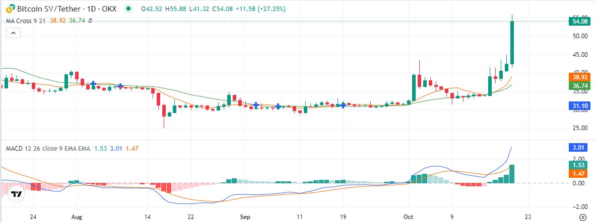 寶山區財務係統電話（寶山區財稅電話）